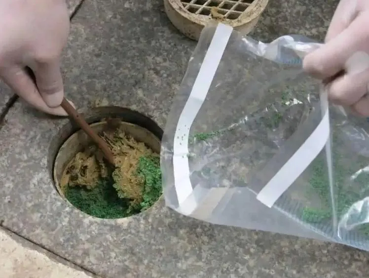 工作人員在樹基周邊用於透水排氣的孔洞中,發現大量散發刺激性氣味的可疑物質。(圖/翻攝人民日報)