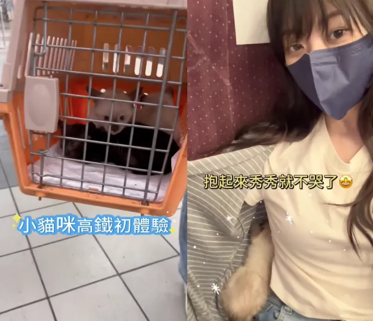 林逸欣近日帶貓咪搭高鐵。（圖／翻攝自林逸欣IG）
