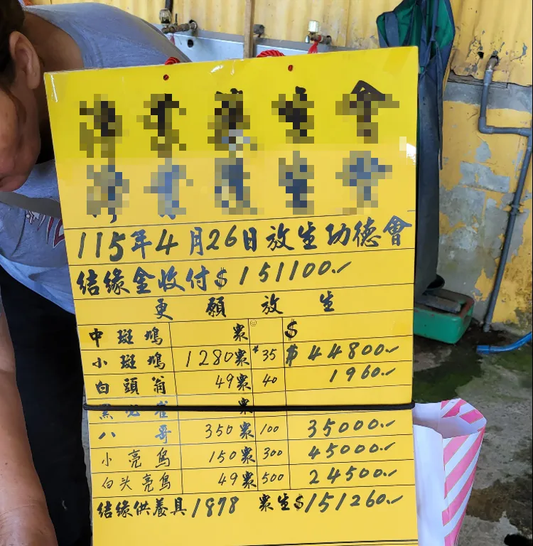 現場共放生近2000隻鳥類。(圖/新北動保處提供)