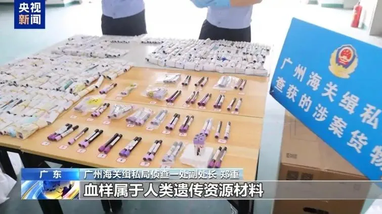 涉案團伙累計走私出境孕婦血液樣本超過10萬人份。（圖／翻攝《央視新聞》）
