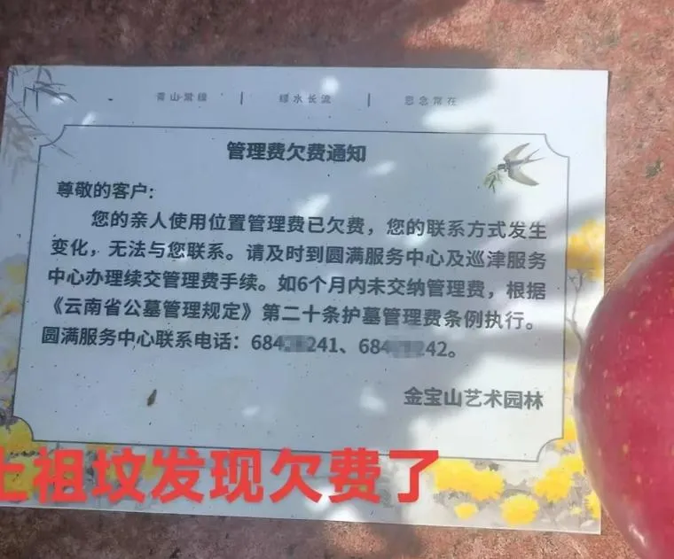 墓碑被貼欠費通知。（圖／翻攝新浪微博）