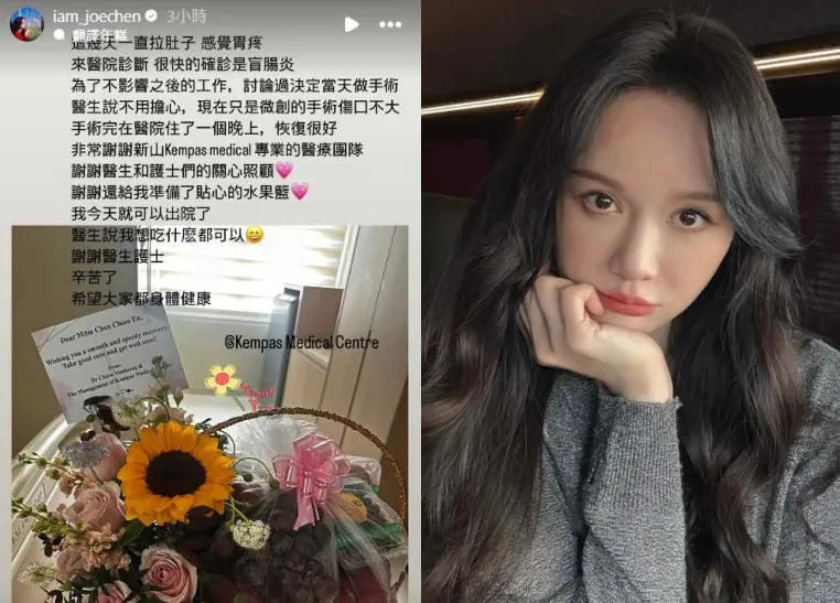 陳喬恩近日透露得了盲腸炎，並開刀治療。（圖／翻攝自陳喬恩IG）