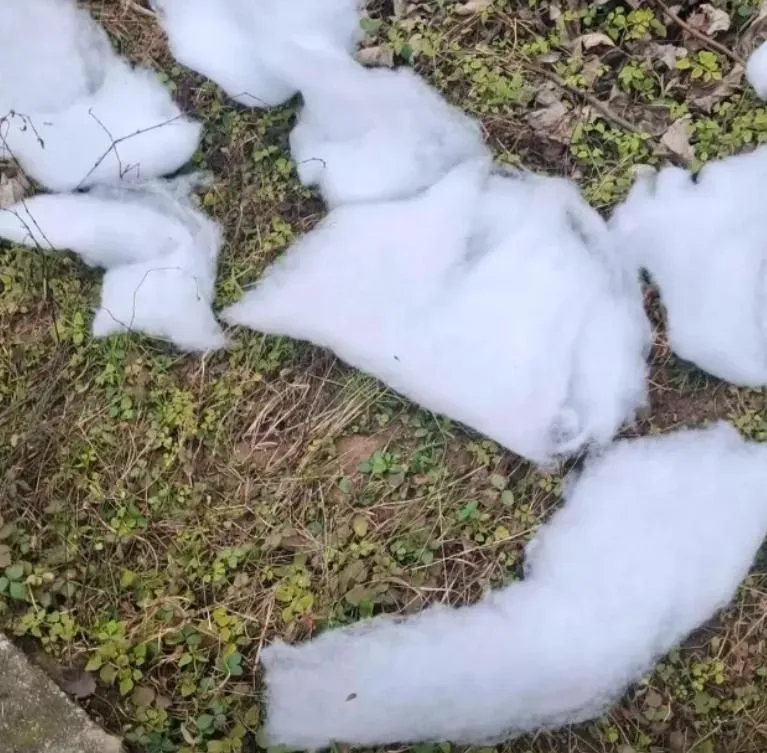 景區稱春節天氣暖未降雪改以棉花營造氛圍。（圖／翻攝現代快報）