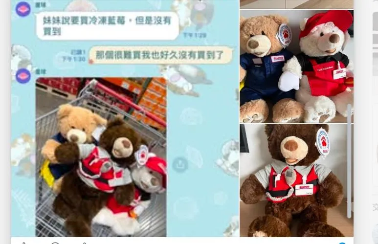 網友分享，爸媽因為忘記她當年在好市多工作時穿哪套制服，乾脆將3款熊一起買回家。（圖／臉書社團「好市多商品資訊分享」）
