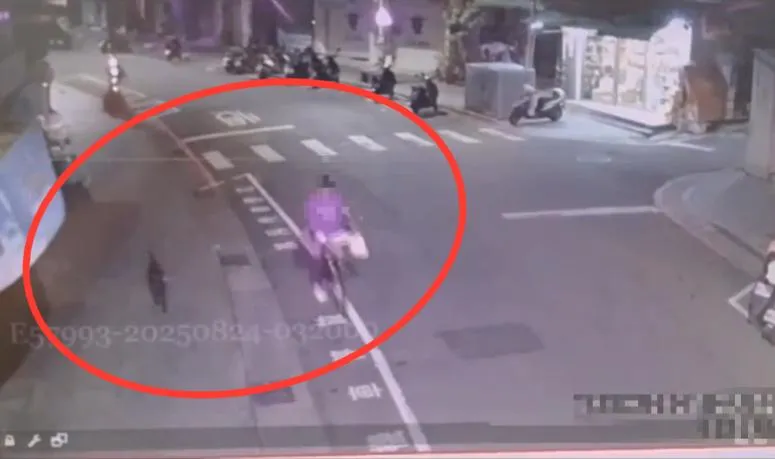 嫌犯從漁船上將狗帶走經過淡水老街。（圖／翻攝畫面）