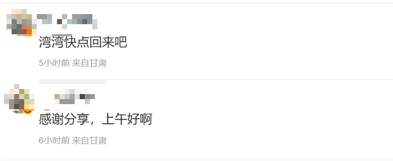 網友感嘆台灣高菜價。（圖/翻攝新浪微博）