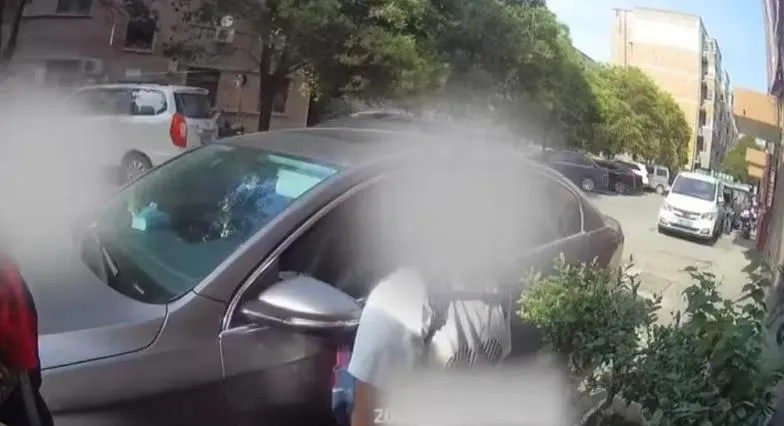 鄭州3名小學生攔警車舉報有人種罌粟。(圖/翻攝鳳凰網)