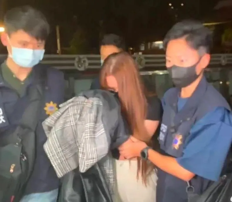 男童剴剴的生母因涉嫌凌虐情敵遭判刑，高等法院16日二審改判4年。（圖／中天新聞）