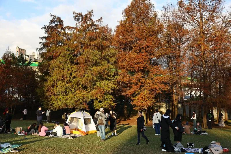 中央氣象署25日表示,颱風薔琵持續減弱、朝日本九州移動,台灣東半部仍有局部短暫陣雨;27、28日東北季風增強,北部、東北部轉涼,迎風面有短暫雨。(圖/中央社)
