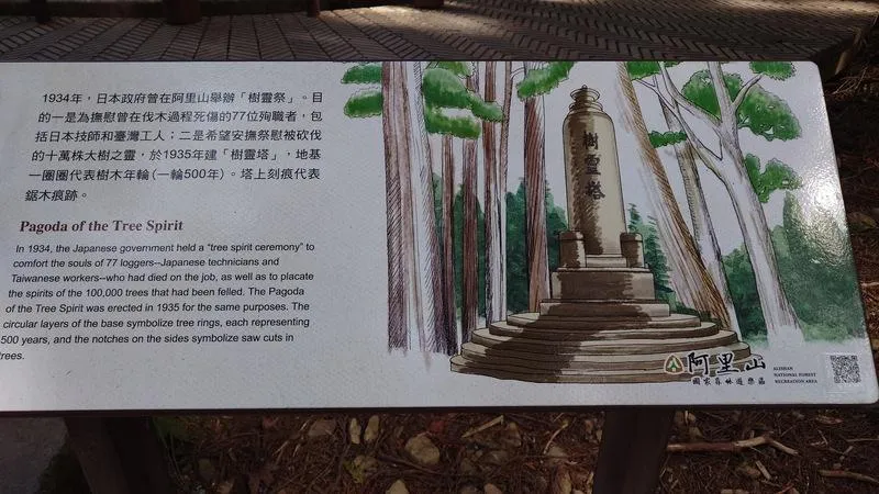 阿里山國家森林遊樂區「樹靈塔」解說牌說，指「樹靈塔」1935年建，地基一圈圈代表樹木年輪（一輪500年）。塔上刻痕代表鋸木痕跡。（圖／中央社）
