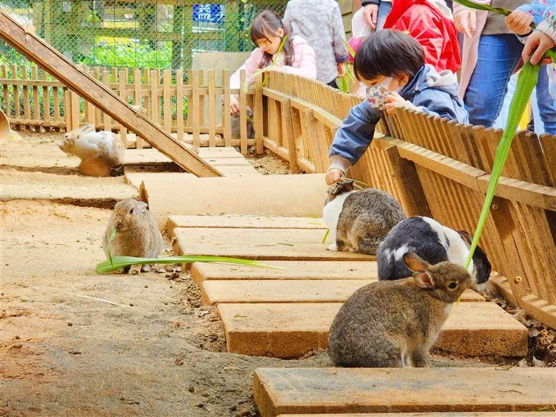 埔心牧場。（圖／臉書）