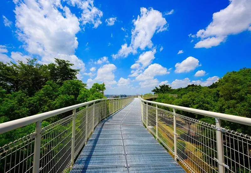 八卦山天空步道。（圖／取自彰化旅遊資訊網）