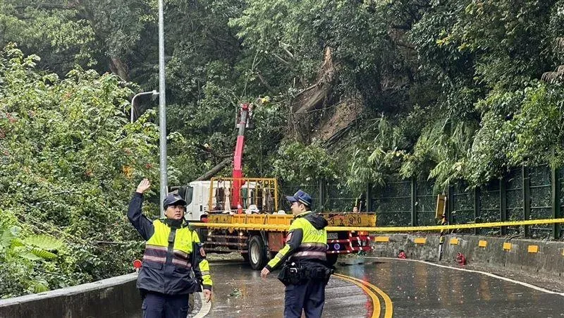 路樹因雷雨狂襲而不慎傾倒，警方迅速趕抵協處。（圖／翻攝畫面）