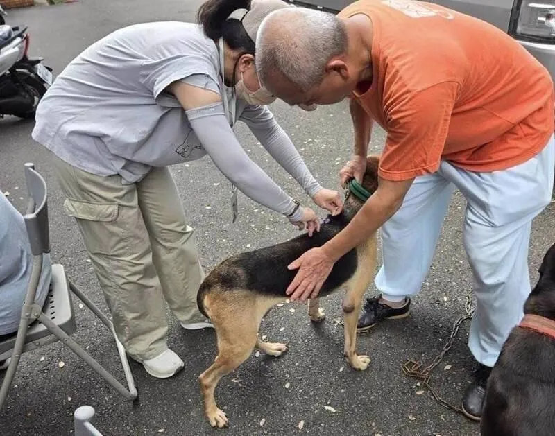 苗栗縣動防所人員將針對該區域的流浪犬、民眾家養犬等施打狂犬病疫苗。(圖/苗栗縣政府提供)