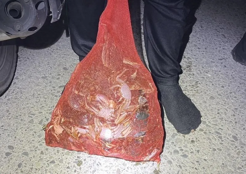移工捕蟹成果豐富。(圖/警方提供)
