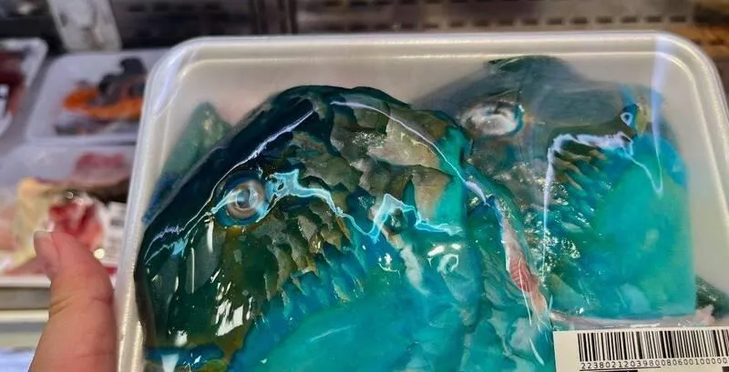 網友在Threads貼出超市販售鸚哥魚頭引發熱議。(示意圖,非新聞中超市販售商品/翻攝自日本地方生活協同組合官方X帳號@coopokinawa)