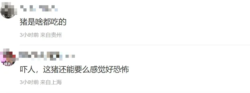 這起事件引發網友討論。（圖/翻攝新浪微博）