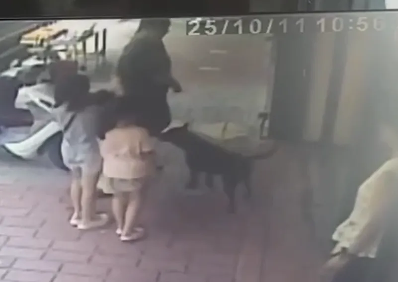 監視器畫面拍到母女4人在苗栗三義木雕街上被黑狗撲咬瞬間。（圖／中天新聞）