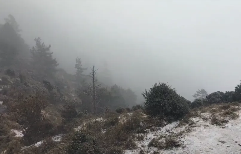 嘉明湖國家步道26日中午起飄雪，山中霧茫茫一片。（圖／嘉明湖熊出沒企業社提供）