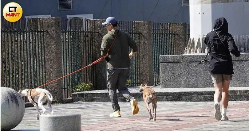彭于晏和高個妹在前面遛狗慢跑，媽媽和姊姊在後方慢慢走。（圖／CTWant）