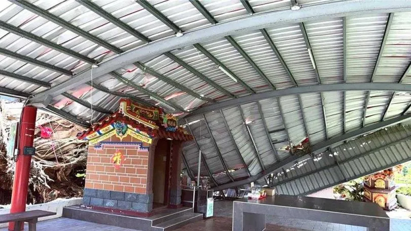 台東鹿野百年老榕遭強風吹倒。（圖／翻攝自中國時報）