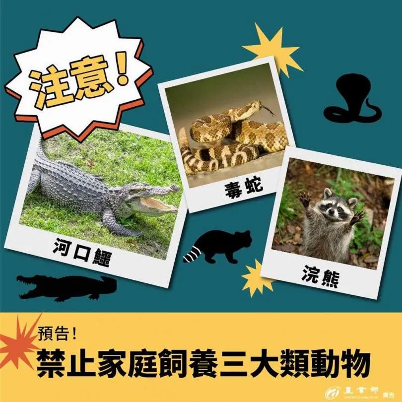 農業部今日依據《動物保護法》第8條規定，預告「指定禁止飼養輸入或輸出之動物」修正草案，將禁止一般家庭民眾飼養641種具劇毒或高攻擊性動物。（圖／農業部）