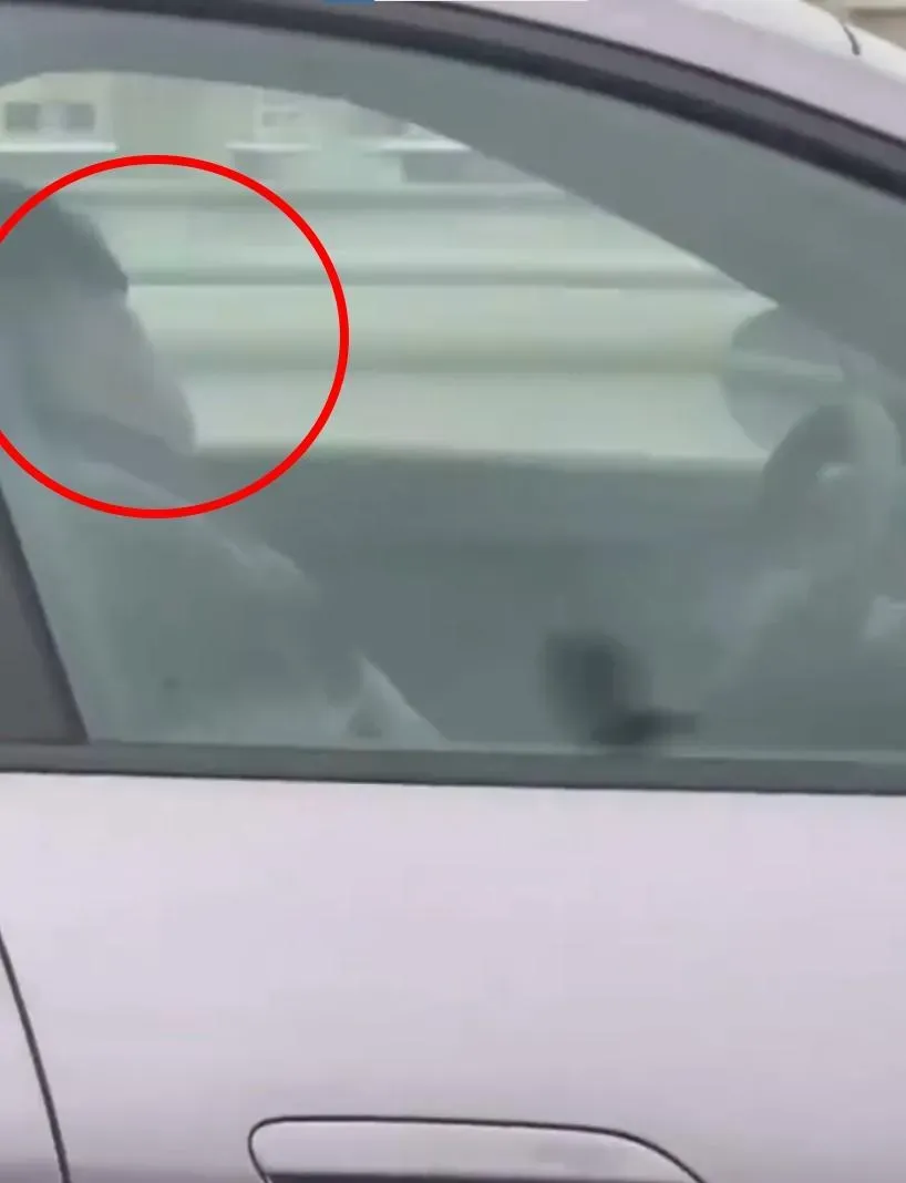上海拍到有小米車主邊開邊睡。（圖／翻攝微博）