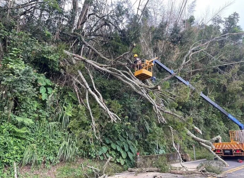 台18線阿里山公路68.7公里處，今日發生邊坡樹木倒伏道路，阻斷交通，養護工程人員緊急搶通。（圖/阿里山工務段提供）