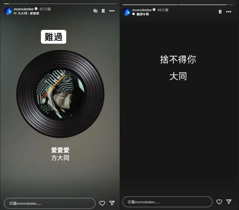 陶晶瑩慟喊：「捨不得你，大同」。（圖／翻攝自陶晶瑩 IG）