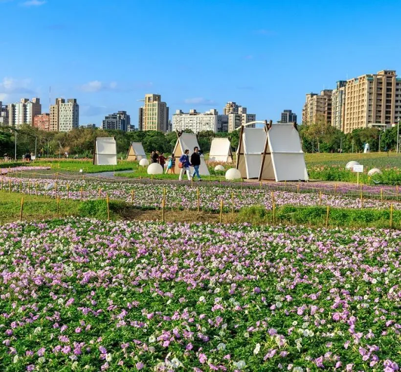 遊客漫步在花徑之間，身心沉浸絕美花海之中。（圖／翻攝自花IN台北官網／曹正邦攝）