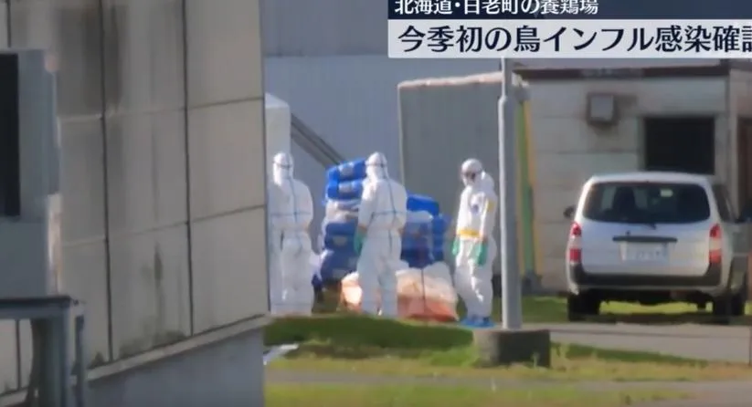 北海道政府人員今赴養雞場調查。（圖/翻攝NNN）