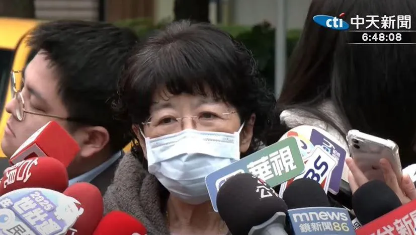 陳佩琪。（圖／中天新聞）