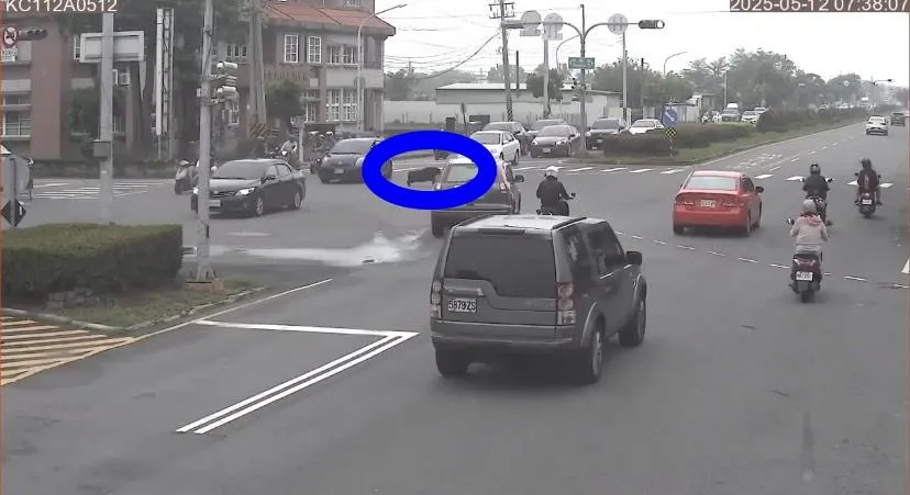 黑山豬突然闖入車陣，駕駛紛紛急剎，所幸沒釀車禍。（圖／中天新聞）