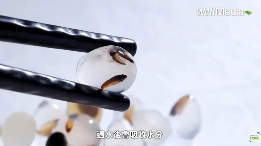 這群「會發芽的珍珠」順利落地生根，正一步步為崩塌的山林重新鋪上綠意，展現出科技結合生態復育的強韌生命力。（圖／WellMedia 授權提供）