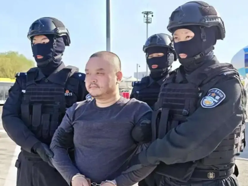 李雄被押解回大陸。（圖／翻攝新浪微博）