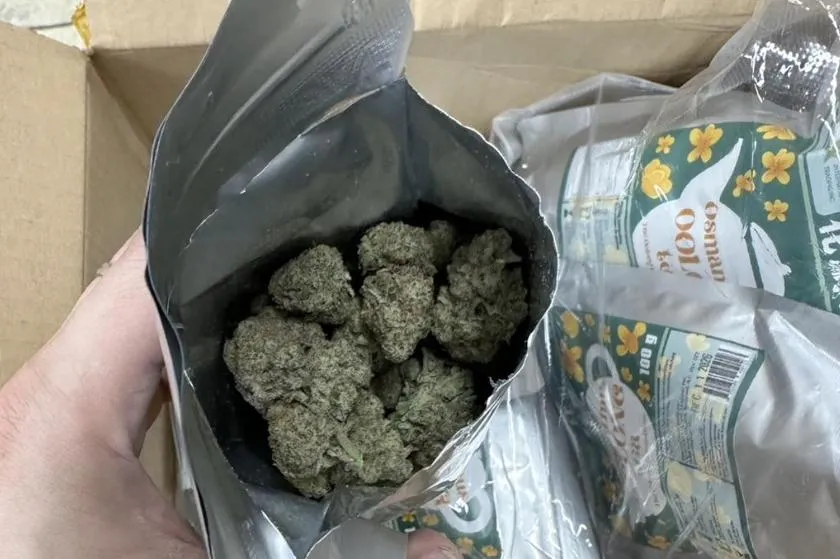 1.3公斤大麻市價超過3百萬元。（圖／翻攝畫面）