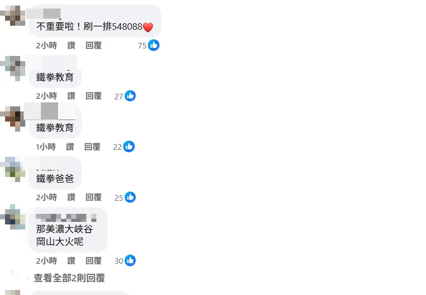 網友留言。(圖取自民進黨臉書粉專)