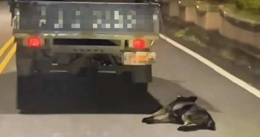 宜蘭驚見貨車拖行黑狗慘狀，狗倒地仍被無視虐待引爆公憤。（圖／翻攝畫面）