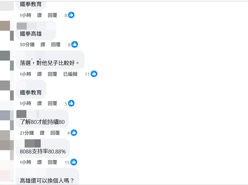 網友留言。(圖取自民進黨臉書粉專)