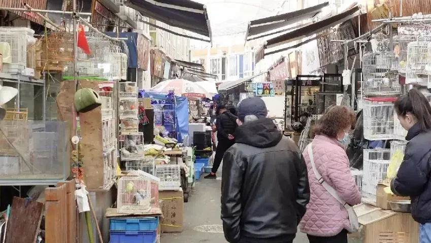 花鳥市場玉石回收店鋪以超低價60元人民幣收購。(圖/翻攝看看新聞)
