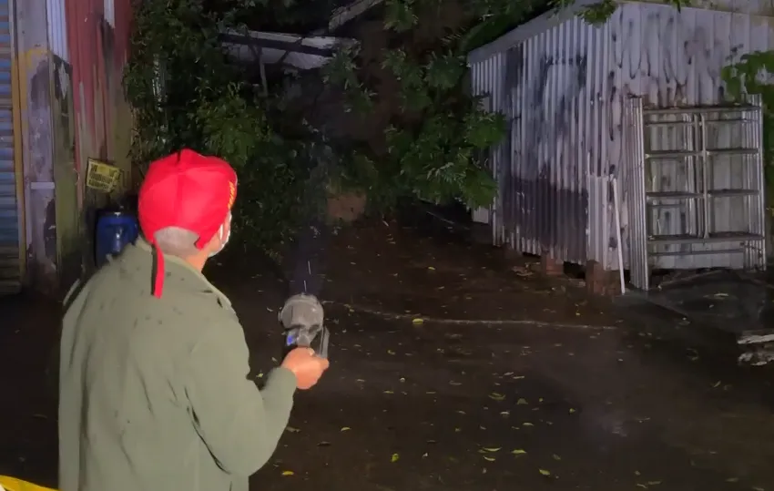 這棵老樹至少已有150年樹齡，沒想到因接連降雨導致地基鬆動，最後整片邊坡崩落。（圖／中天新聞˙）