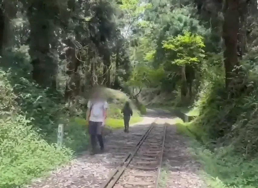 兩名美籍遊客闖阿里山林鐵軌道。（圖／林鐵處提供）