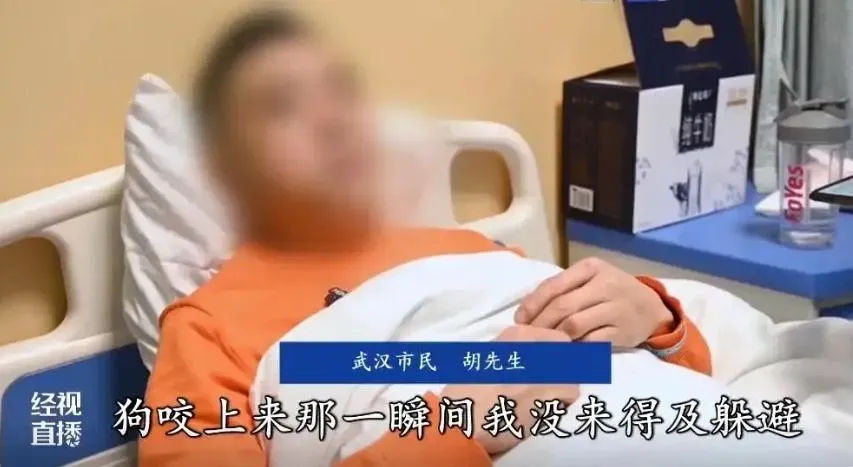 不料才開口說「嗚」就被愛犬咬傷臉。(圖/翻攝經視直播)