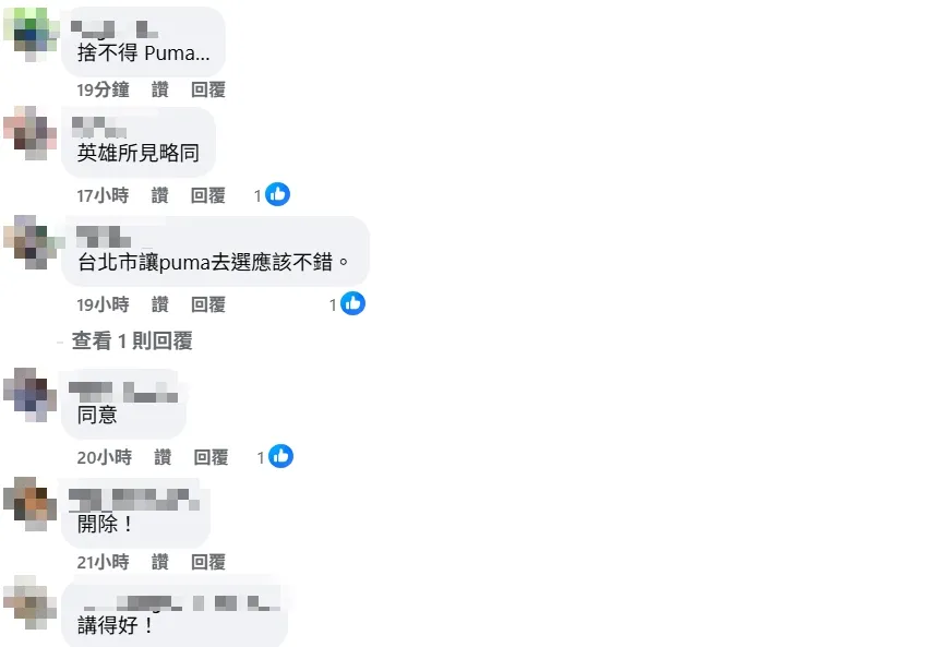 網友留言。（圖取自林秉宥臉書）