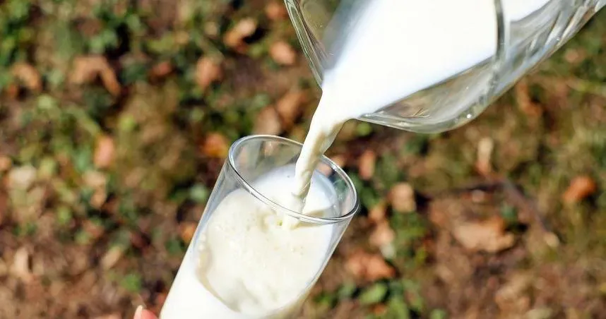 行政院食安辦確認只有取得國產鮮乳標章才能標示為鮮乳（示意圖／免費圖庫pixabay）