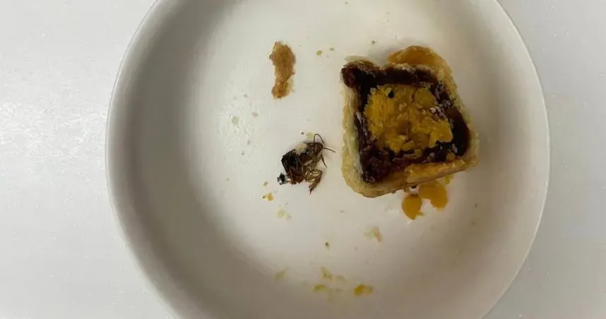 女子拍下蟑螂和蛋黃酥的照片PO網。(圖/爆料公社二社)