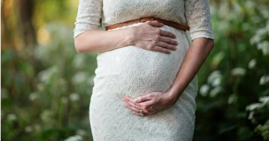 涉案女子與3名男子生下9個孩子。（示意圖／Pexels）