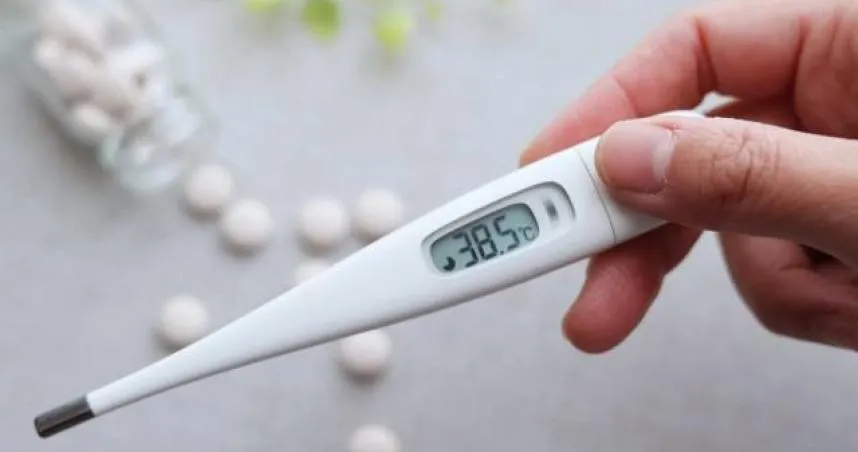 一名21歲女性反覆發燒、全身疲倦，出現落髮、面部紅斑及關節腫痛等症狀，檢查後確診為全身性紅斑性狼瘡。（圖／Photo AC）