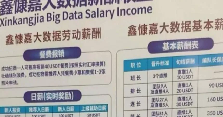 大陸「DGCX鑫慷嘉」平台200萬名投資者遭龐氏騙局吸走百億資金。(圖/翻攝自微博)