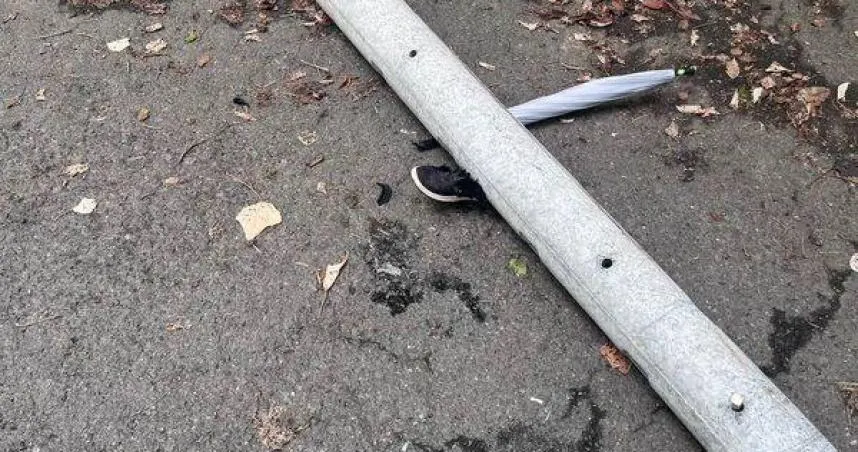 彰化藤山步道驚傳倒桿砸人骨折送醫。（圖／翻攝畫面）